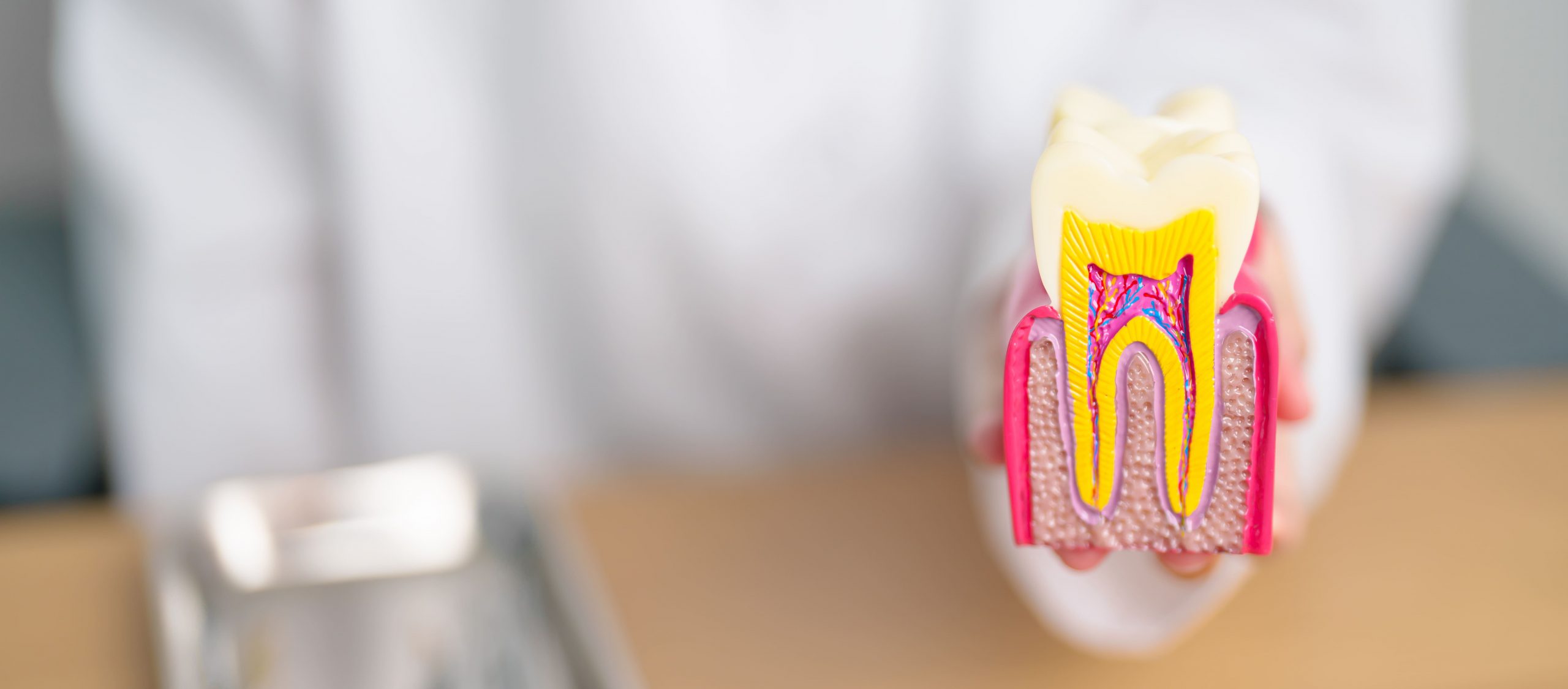 sermadent-single-banner